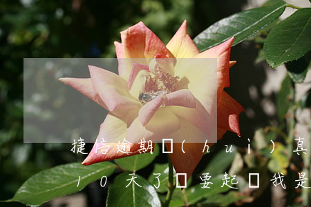 捷信逾期會(huì)真的起訴嗎(捷信逾期10天了,說要起訴我,是真的嗎)