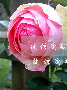 捷信逾期會(huì)被公安抓走嗎(有沒有捷信逾期很久了,后來是怎么處理的)