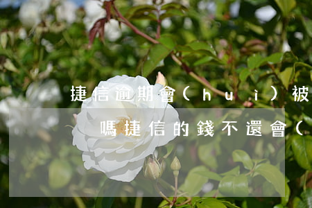 捷信逾期會(huì)被凍結(jié)賬戶嗎(捷信的錢不還會(huì)不會(huì)凍結(jié)銀行賬戶)