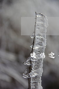捷信逾期會(huì)被取消嗎