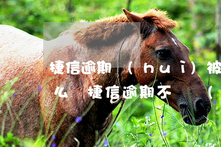 捷信逾期會(huì)被起訴嗎?真還不上怎么辦(捷信逾期不還會(huì)怎么樣?捷信逾期后果很嚴(yán)重嗎?)