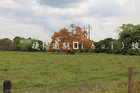 捷信逾期會(huì)被起訴扣押車輛嗎