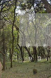 捷信逾期會(huì)觸犯刑法嗎-捷信逾期會(huì)觸犯刑法嗎