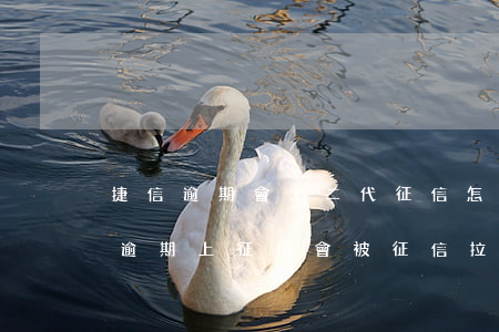 捷信逾期會上二代征信怎么解決-捷信貸款逾期上征信,會被征信拉入黑名單嗎