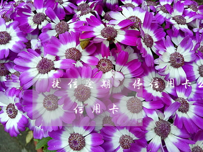 捷信逾期會停信用卡么(捷信貸款逾期了會影響信用卡?)