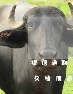 捷信逾期會到法院嗎-捷信最多可以逾期多久?捷信逾期有什么后果?