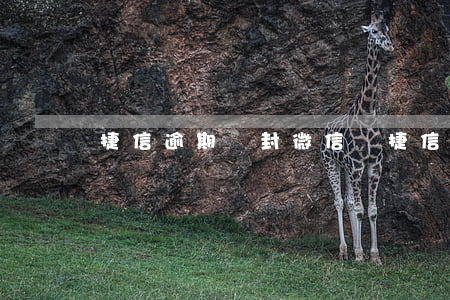 捷信逾期會封微信嗎 捷信逾期會封微信嗎