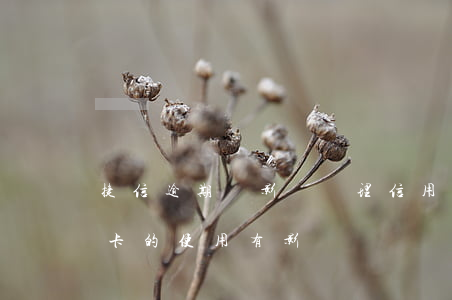 捷信逾期會影響辦理信用卡(捷信逾期對信用卡的使用有影響嗎)