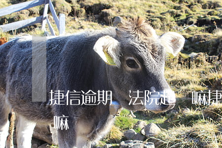 捷信逾期會法院起訴嘛(捷信逾期會法院起訴嘛)