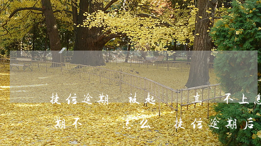 捷信逾期會被起訴嗎?真還不上怎么辦(捷信逾期不還會怎么樣?捷信逾期后果很嚴(yán)重嗎?)