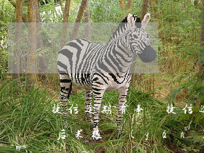 捷信逾期有事嗎(捷信逾期會怎么樣?捷信逾期后果很嚴(yán)重嗎?)