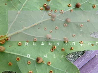 捷信逾期有只還本金協(xié)商成功的嗎-捷信逾期有只還本金協(xié)商成功的嗎是真的嗎