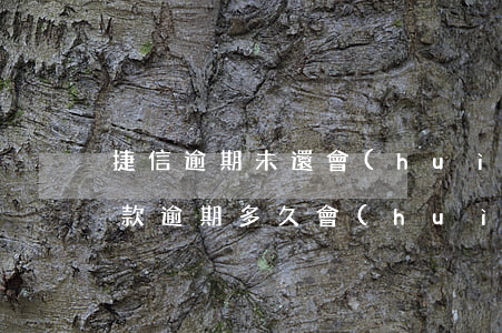 捷信逾期未還會(huì)被起訴嗎(捷信貸款逾期多久會(huì)被起訴:有規(guī)定嗎?)