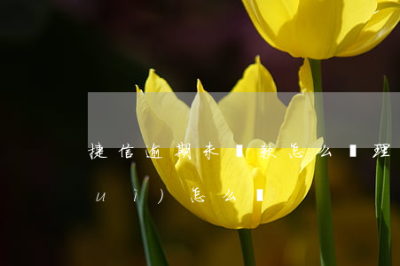 捷信逾期未還款怎么處理(捷信沒還款會(huì)怎么樣)