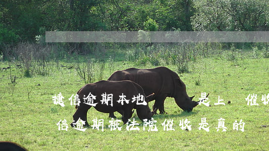 捷信逾期本地號碼說是上門催收是真的嗎（捷信逾期被法院催收是真的嗎）