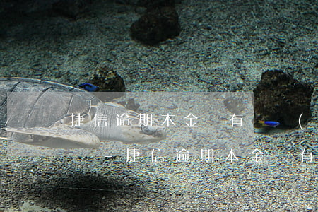 捷信逾期本金還有兩萬(wàn)屬于大額嗎-捷信逾期本金還有兩萬(wàn)屬于大額嗎還是小額