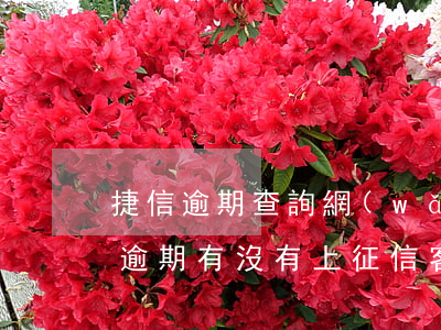 捷信逾期查詢網(wǎng)站多少錢(捷信逾期有沒有上征信,客服可以查嗎)
