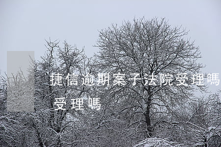 捷信逾期案子法院受理嗎(捷信起訴我法院會受理嗎)