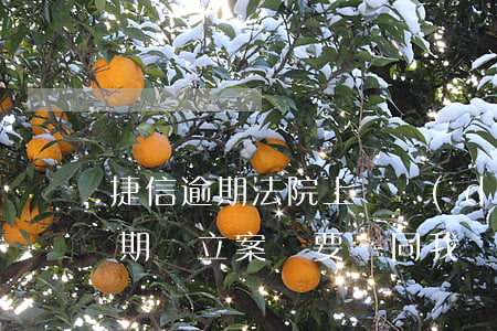 捷信逾期法院上門調(diào)查(捷信逾期會立案嗎 要連同我們村委會人員上門)