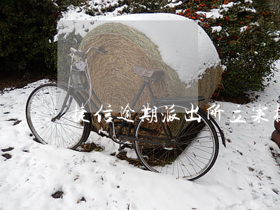 捷信逾期派出所立案(捷信逾期公安局介入嗎)