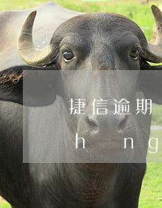 捷信逾期滯納金上限多少(捷信逾期多長(zhǎng)時(shí)間會(huì)上門(mén)收取全部款項(xiàng))