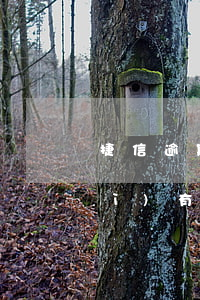 捷信逾期為何一直不起訴(捷信不還會(huì)有什么后果,多久被起訴)