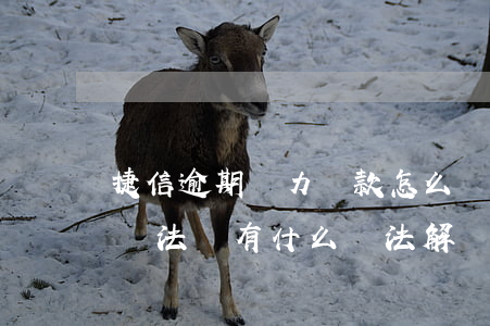 捷信逾期無力還款怎么辦(捷信金融貸款暫時無法還有什么辦法解決)