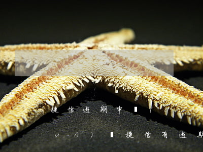 捷信逾期申請(qǐng)信用卡能過(guò)嗎(捷信有逾期還能辦理銀行信用貸款業(yè)務(wù)嗎?)
