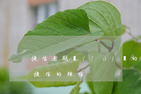 捷信逾期發(fā)來的短信形式(今天收到捷信的短信)