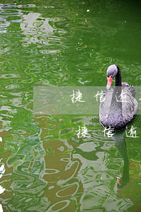捷信逾期發(fā)信息要上門是真的嗎-捷信逾期發(fā)短信接下來(lái)會(huì)上門拜訪,回來(lái)嗎