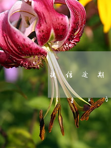 捷信逾期發(fā)信息說(shuō)過(guò)兩天會(huì)上門(mén)-捷信逾期發(fā)短信接下來(lái)會(huì)上門(mén)拜訪,回來(lái)嗎