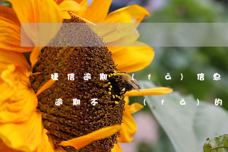 捷信逾期發(fā)信息說判3年(捷信分期逾期不還發(fā)的開庭信息是真的假的)