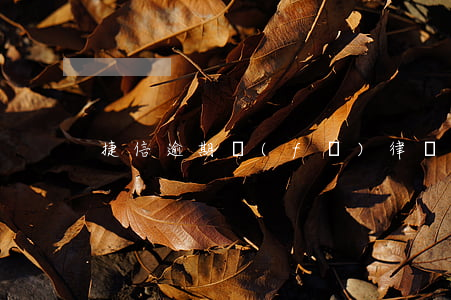 捷信逾期發(fā)律師函2017