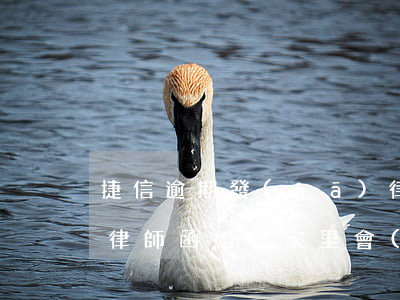 捷信逾期發(fā)律師函到家里(捷信寄了律師函給我家里會(huì)怎么樣)
