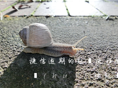 捷信逾期的起訴流程是-捷信貸款逾期多久會(huì)被起訴:有規(guī)定嗎?