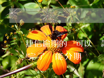捷信逾期的還可以貸款車(捷信逾期過,但是還完了還能分期買車嗎)