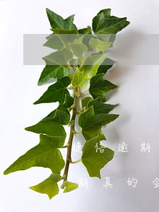 捷信逾期真的会有外包公司上门吗-捷信逾期真的会有外包公司上门吗是真的吗