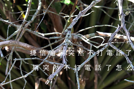 捷信逾期突然不打電話了怎么回去-捷信逾期突然不打電話了怎么回去投訴