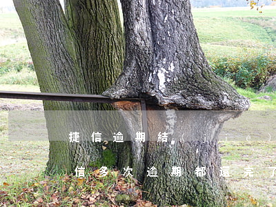 捷信逾期結(jié)清了能辦信用卡嗎(捷信多次逾期都還完了 還能辦捷信吧)