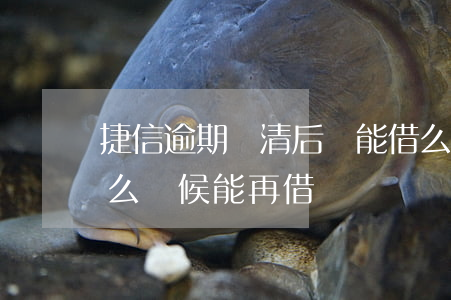 捷信逾期結清后還能借么(捷信全部結清了什么時候能再借)