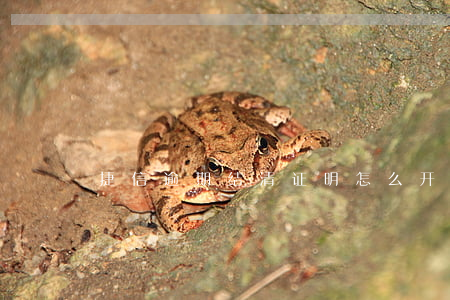 捷信逾期结清证明怎么开
