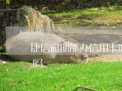 捷信逾期能办信用卡吗(捷信逾期能办信用卡吗)