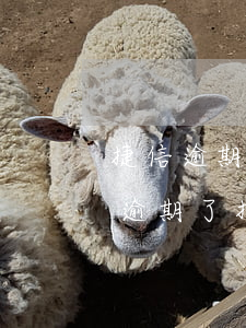 捷信逾期能協(xié)商延期嗎(捷信公司逾期了,打什么電話可以協(xié)商)