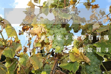 捷信逾期能手機零首付嗎(捷信逾期了還可以繼續(xù)貸款買手機嗎)