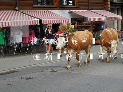 捷信逾期能申請(qǐng)推遲還款(捷信逾期還款了還可以申請(qǐng)延期還款嗎)