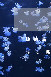 捷信逾期能辦etc卡嗎(信用卡逾期能辦etc嗎)