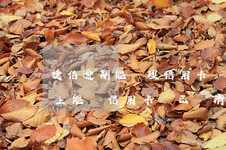 捷信逾期能辦理信用卡嗎(捷信逾期六個月以上能辦信用卡嗎已還清)