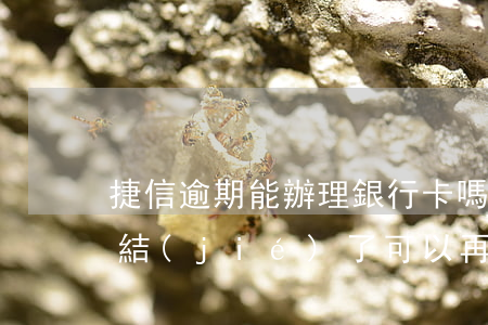 捷信逾期能辦理銀行卡嗎(捷信逾期銀行卡凍結(jié)了可以再開一張卡嗎?)