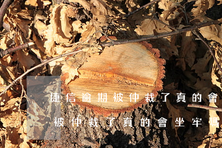 捷信逾期被仲裁了真的會坐牢嗎-捷信逾期被仲裁了真的會坐牢嗎知乎