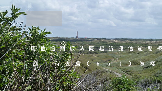 捷信逾期被法院起訴(捷信逾期被法院起訴開庭沒有去會(huì)怎樣)